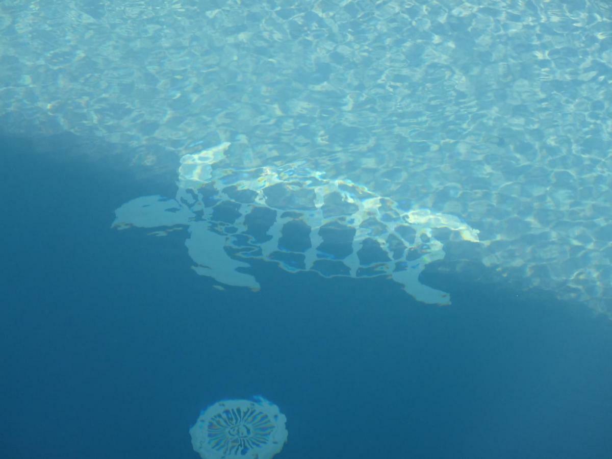 Gite La Tortue Bleue Bouillante Exterior foto